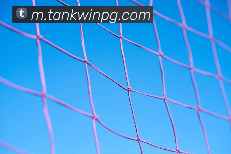 pg官网发展历程